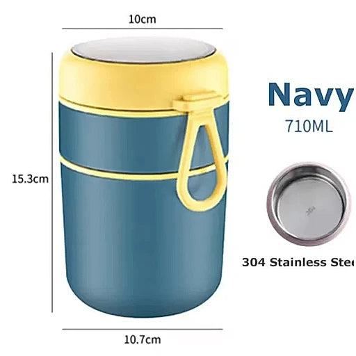 TEDEMEI Stainless Steel 2 Layer Lunch Box