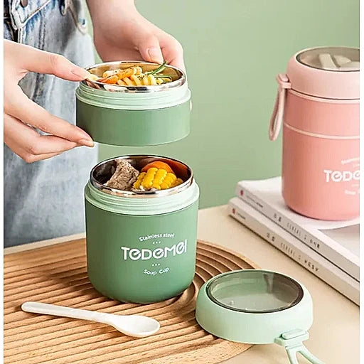 TEDEMEI Stainless Steel 2 Layer Lunch Box